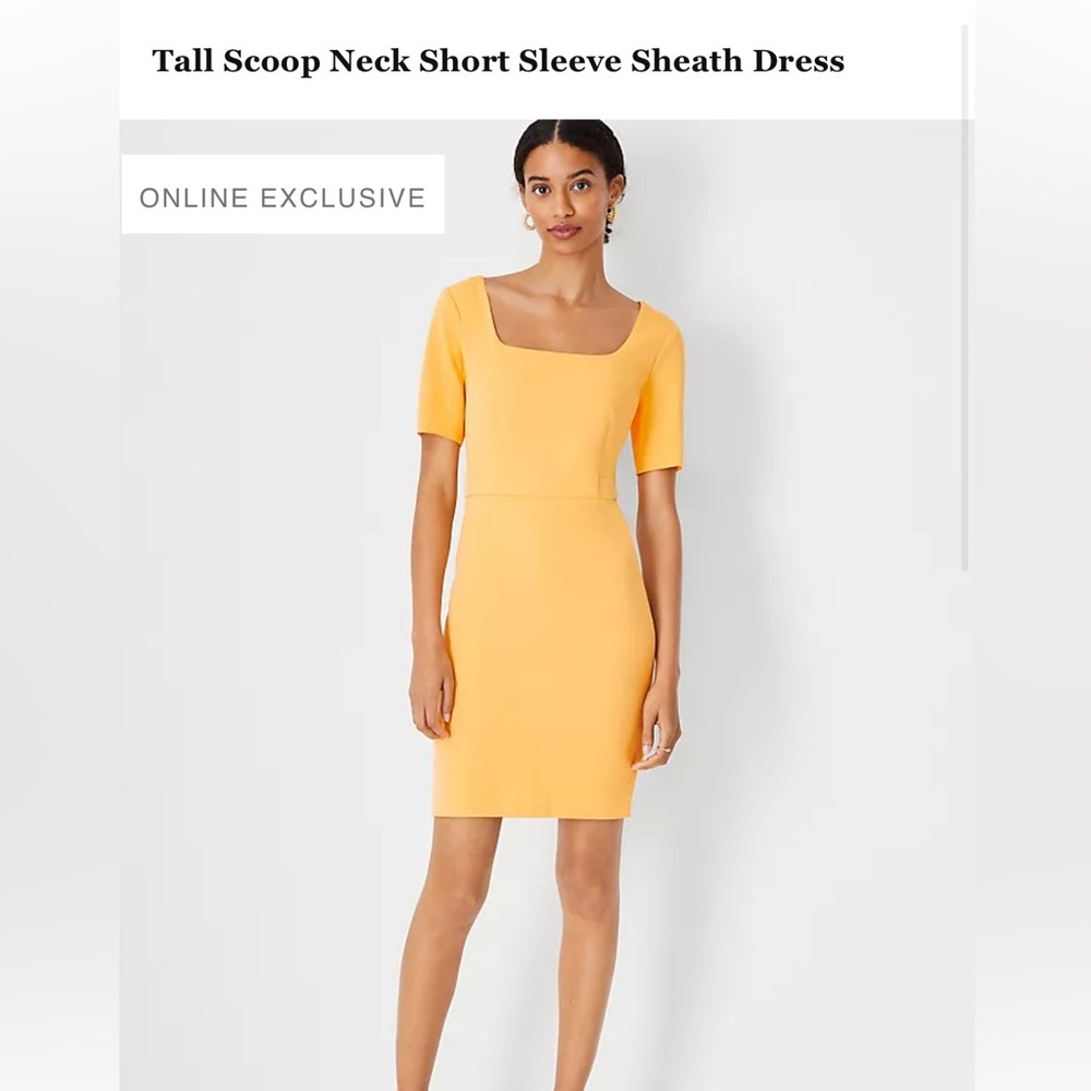 Ann Taylor Tall Scoop Neck Short Sleeve Sheath Dress